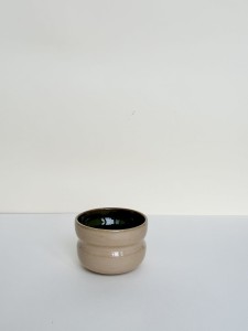 Czarka brzuszek - piaskowo - leśna